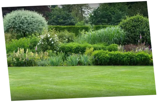 Mantenimiento de jardines