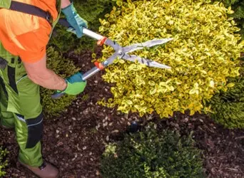 Empresa de Jardinería